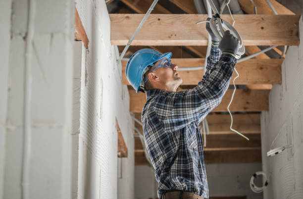 Best Electrical Wiring Services  in Lamont, MI