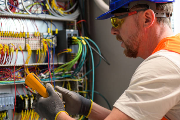 Best Electrical Upgrades for Homes  in Lamont, MI
