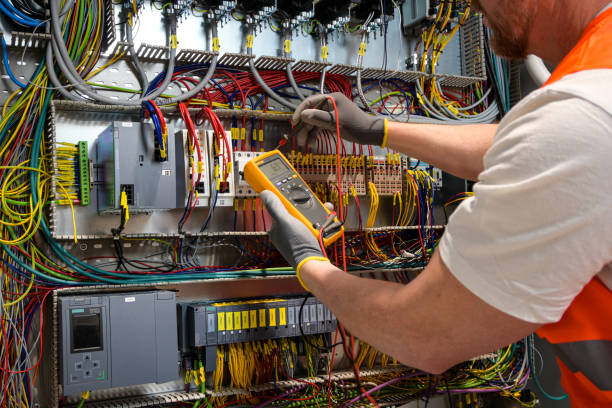 Best Electrical System Inspection  in Lamont, MI