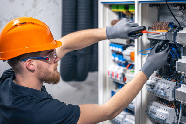 Best Electrical Troubleshooting Services  in Lamont, MI